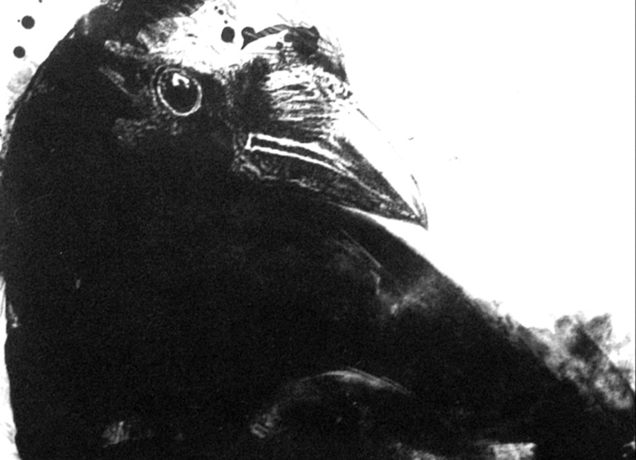 James Reed, Untitled [Crow Face], 2018, lithograph on paper, Fairfield University Art Museum